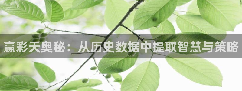 7790cnm必发集团app下载