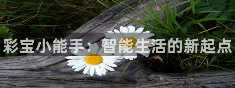 7790必发集团：彩宝小能手：智能生活的新起点