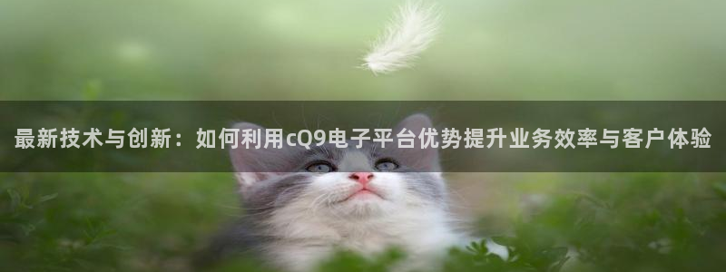 必发集团官网登录：最新技术与创新：如何利用cQ9电子平台优势提升业务效率与客户体验